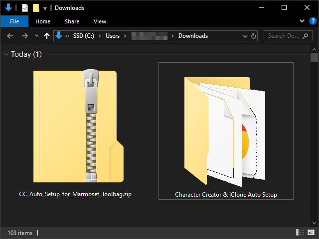 Install Character Installing Character Creator and iClone Auto Setup for Marmoset