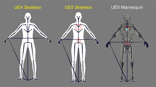 Skeleton Structures Relations between CC and UE Characters