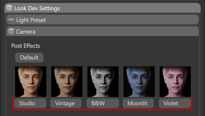 Posts Remain Effect Using Look Dev - Camera Post Effect