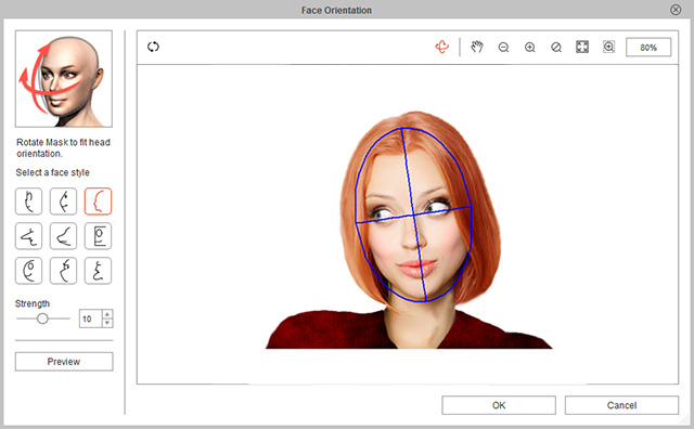 Specifying Face Orientation and Style