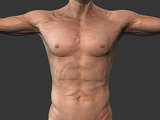 Character Creator 4 Online Manual - Using Body Skin Templates