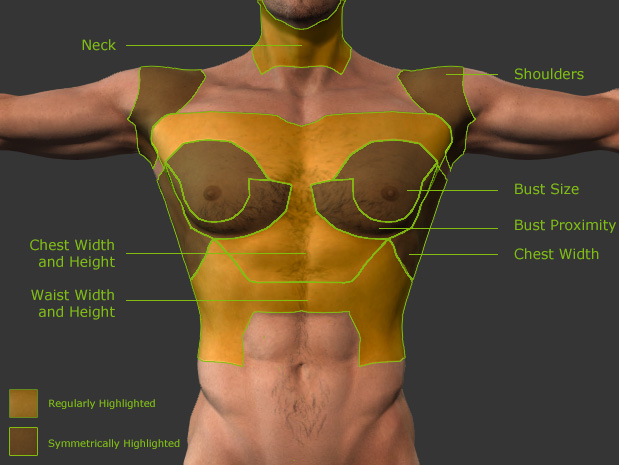 Body Part Morphing Anatomy