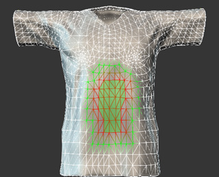 Body Part Morphing Anatomy