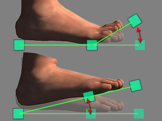 Character Creator 3 Online Manual - Setting the Floor Contact Planes for  the Hands and Feet