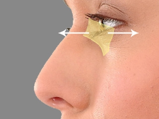 鼻の輪郭と鼻孔の形状のセッティング