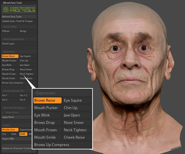 Expressions Projection Workflow