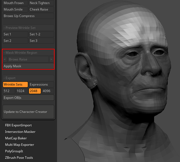 Expressions Projection Workflow