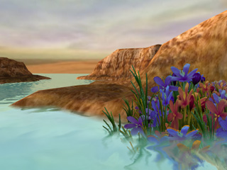 Water Edge Softness