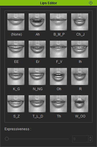 Adding or Modifying Lip Synching Keys